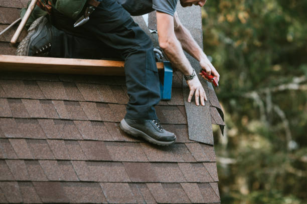 Best New Roof Installation  in Lincoln Park, MI