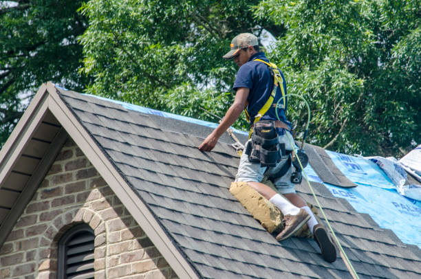Best Storm Damage Roof Repair  in Lincoln Park, MI